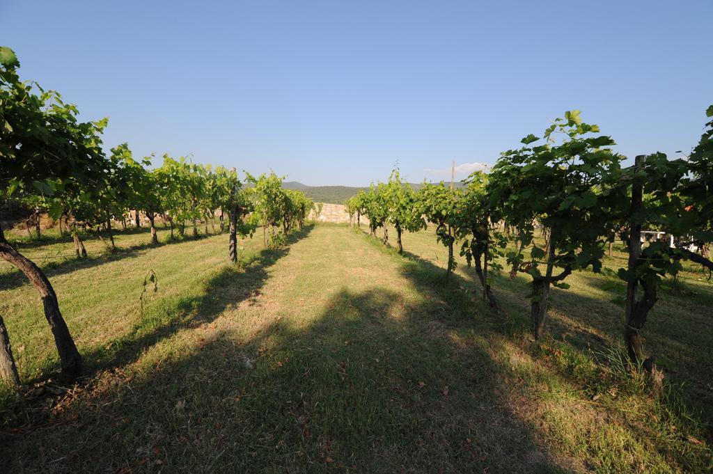 Agriturismo Scorgiano Eksteriør bilde